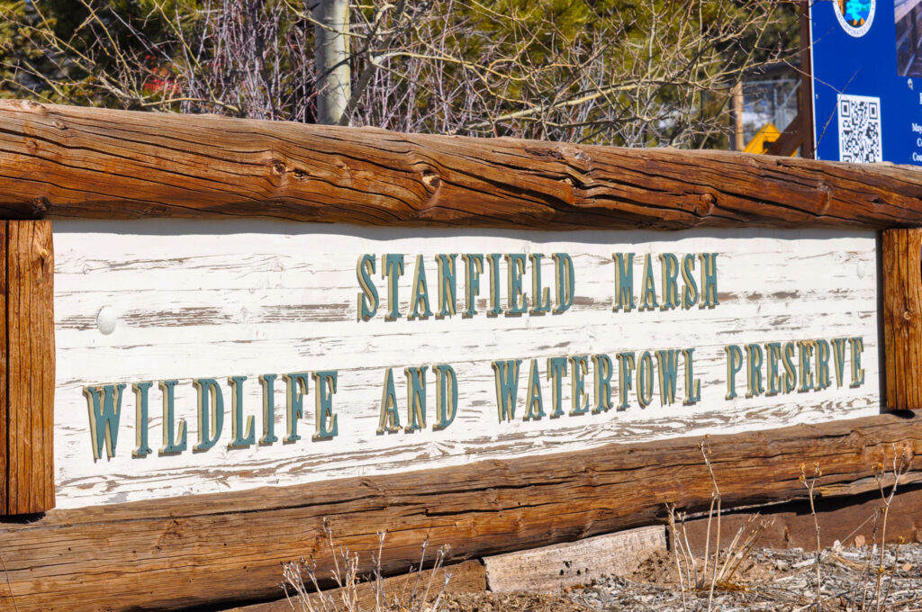 Stanfield Marsh Wildlife and Waterfowl Preserve