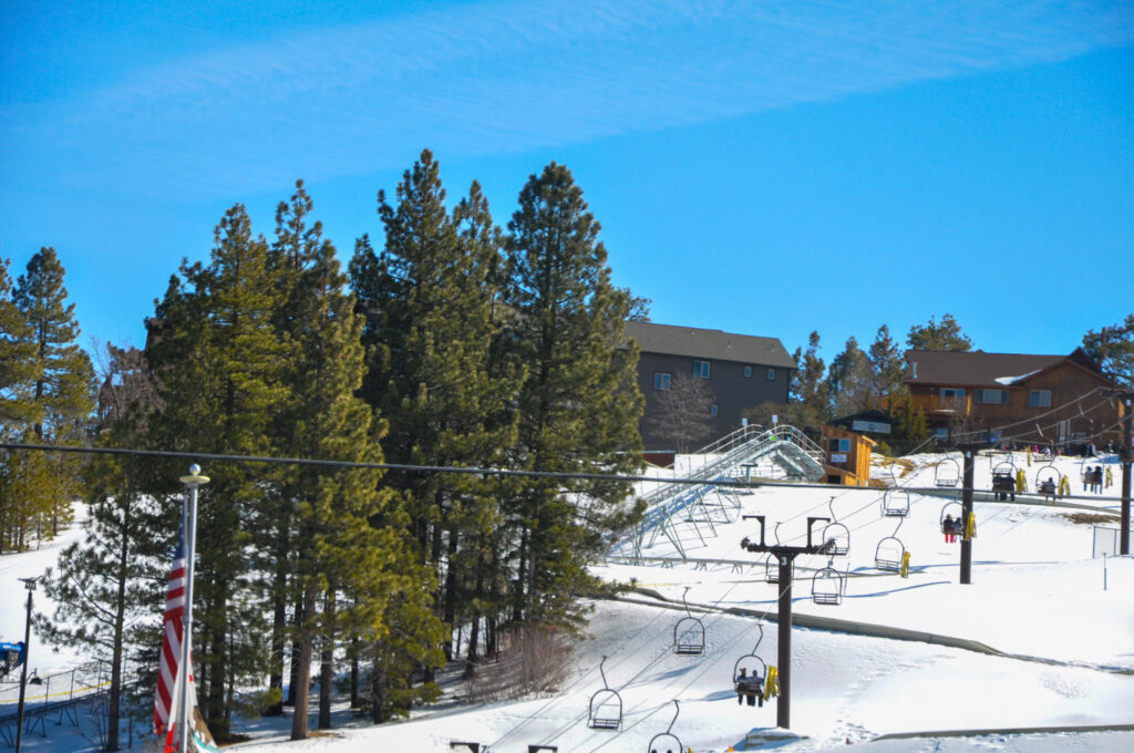 Alpine Slide Snow Play in Big Bear Lake. Lifts carrying people up the hill over snow next to big pine trees. 